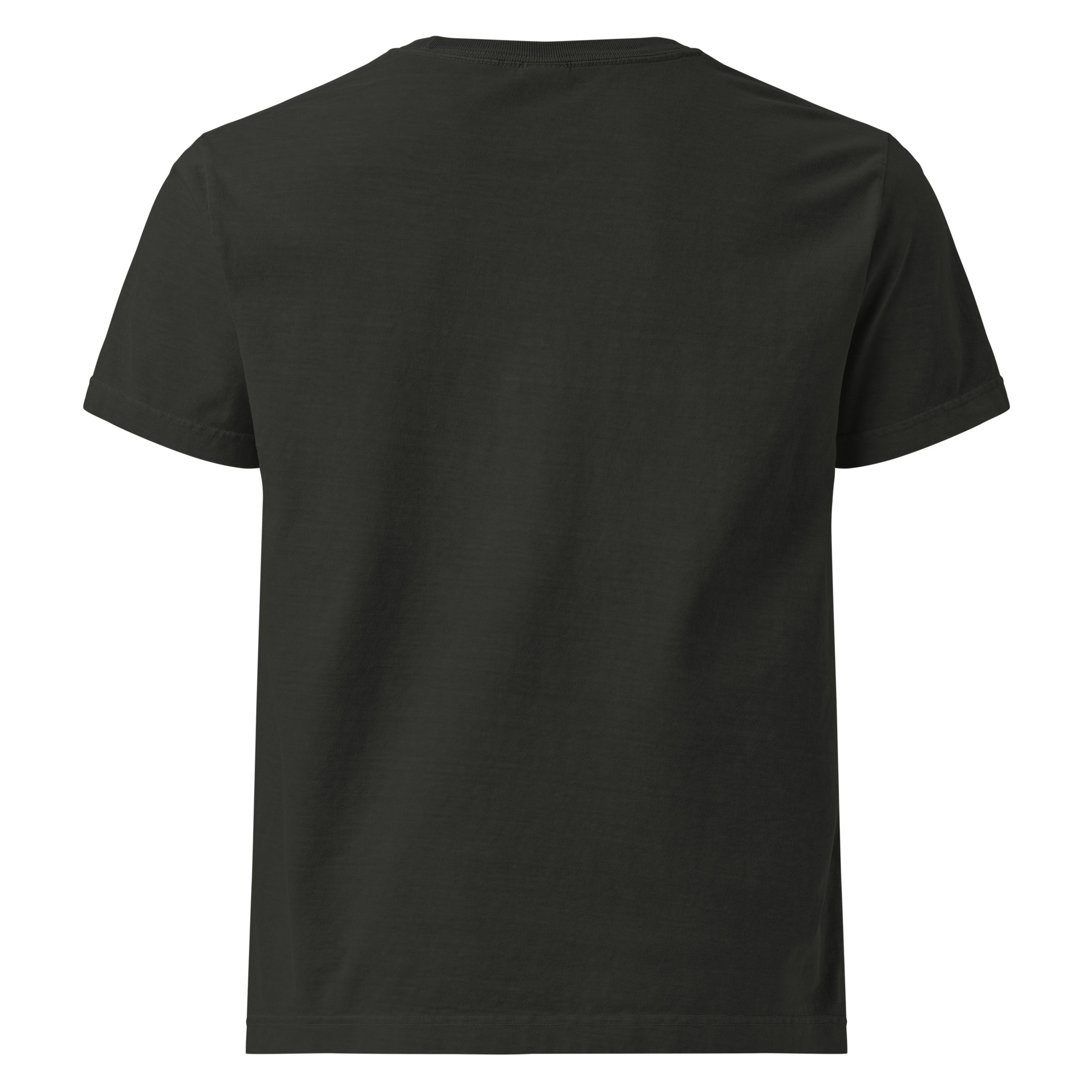 unisex-oversized-garment-dyed-t-shirt-washed-black-back-689abb00eedc0.jpg