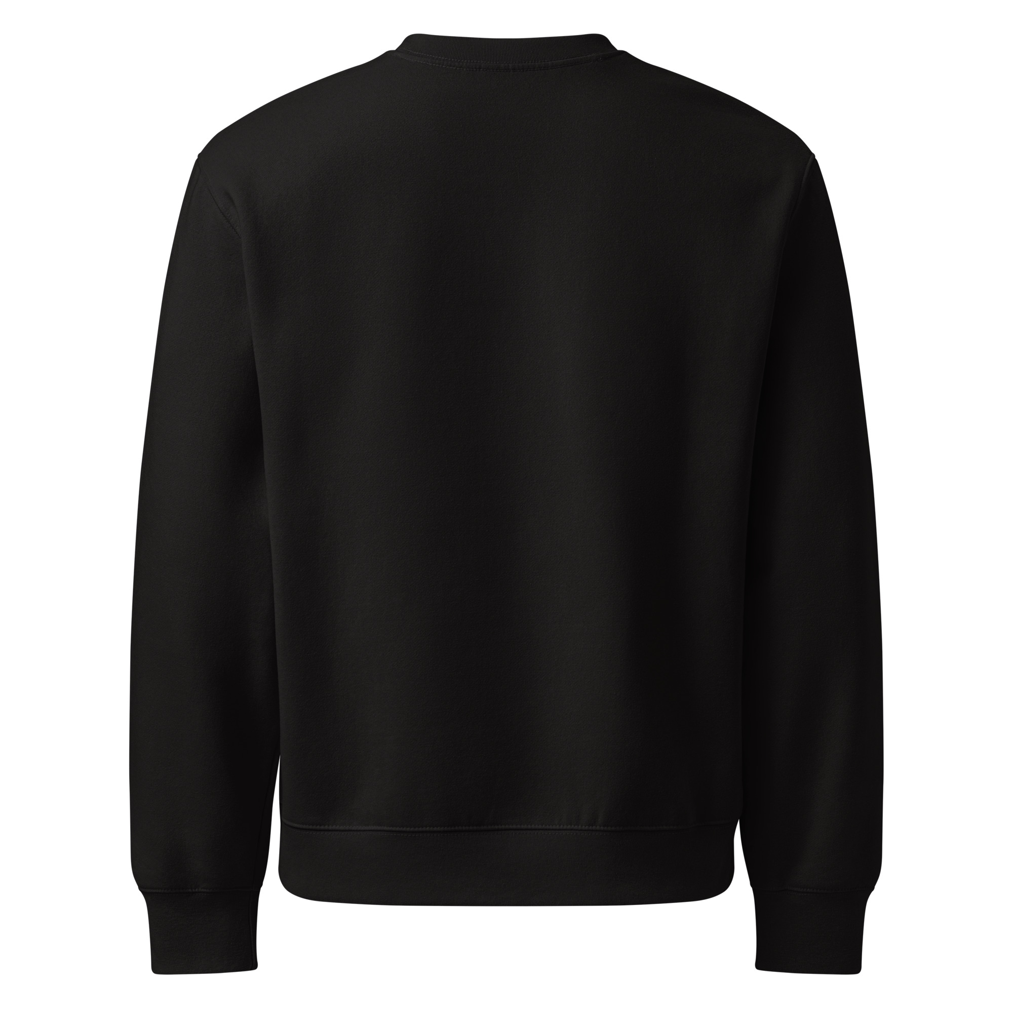 unisex-oversized-heavyweight-sweatshirt-black-back-68a90747775da.jpg