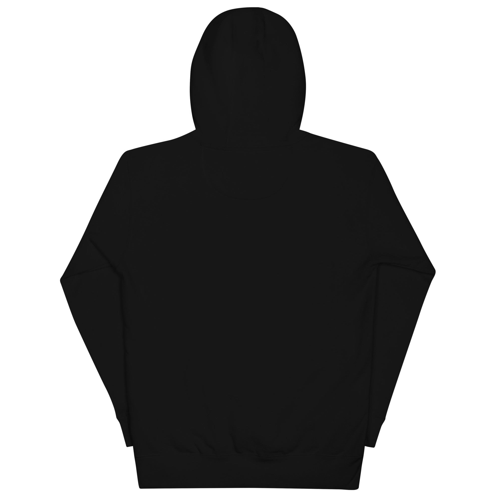 unisex-premium-hoodie-black-back-689aba6f2eeeb.jpg