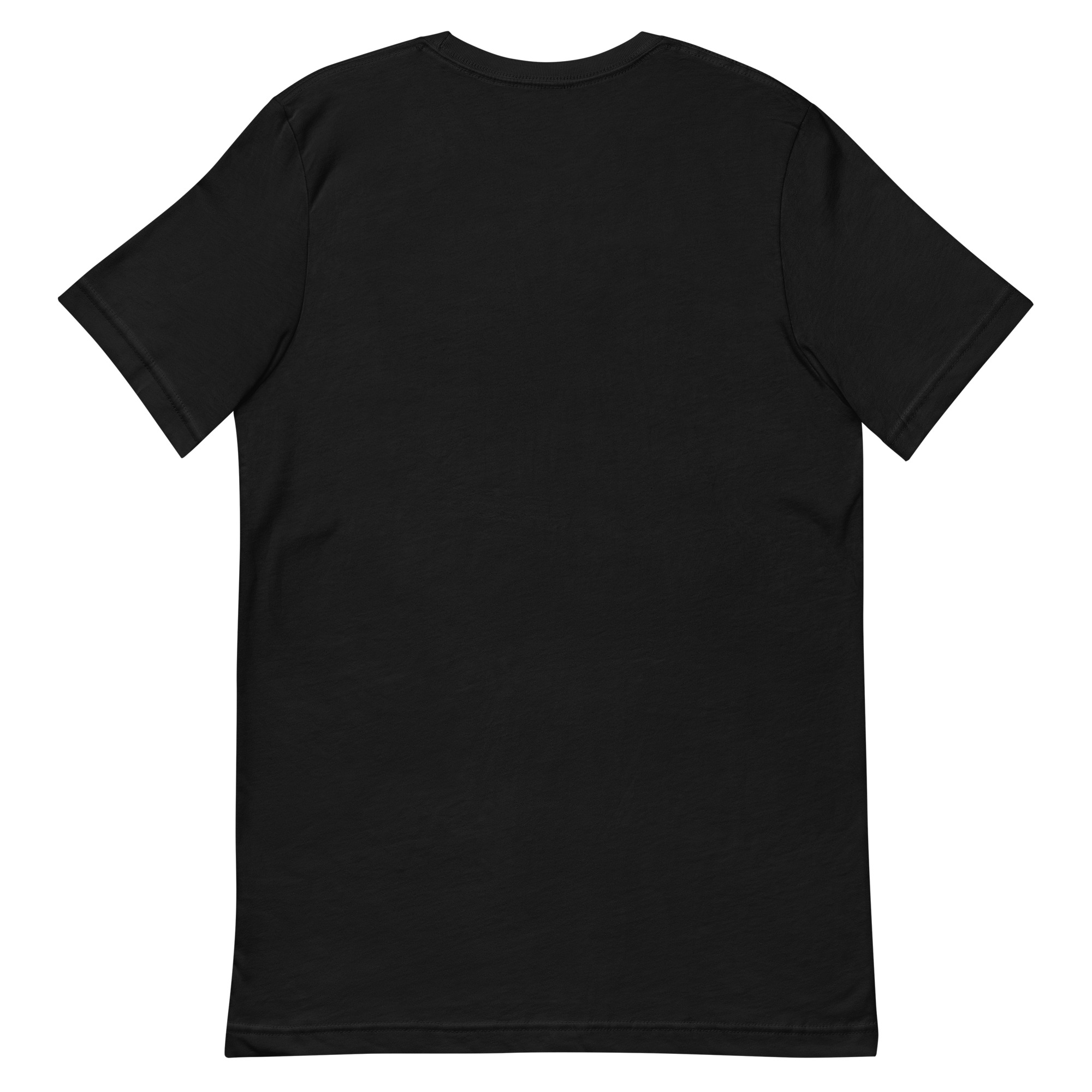 unisex-staple-t-shirt-black-back-68a95c3f5601c.jpg